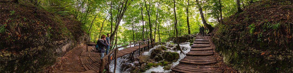 Nationalpark Plitvicer Seen (Plitvička jezera) im Wald beim Proscansko Jezero - Nationalpark Plitvicer Seen (Plitvička jezera)