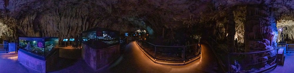 Höhlen von Postojna: im Vivarium - Slowenien